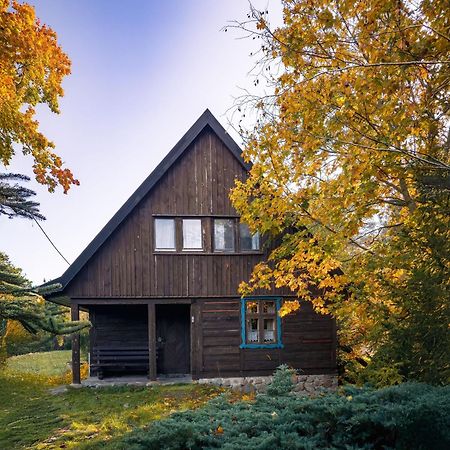 Dom Pod Klonem Na Kaszubach Villa Kościerzyna Exterior foto