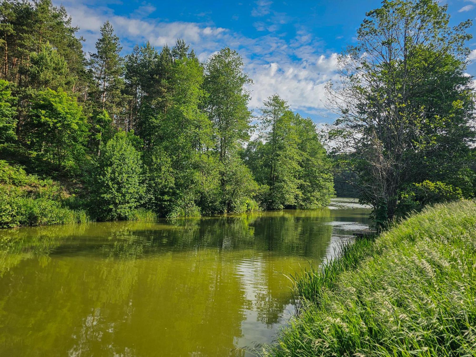 Dom Pod Klonem Na Kaszubach Villa Kościerzyna Exterior foto