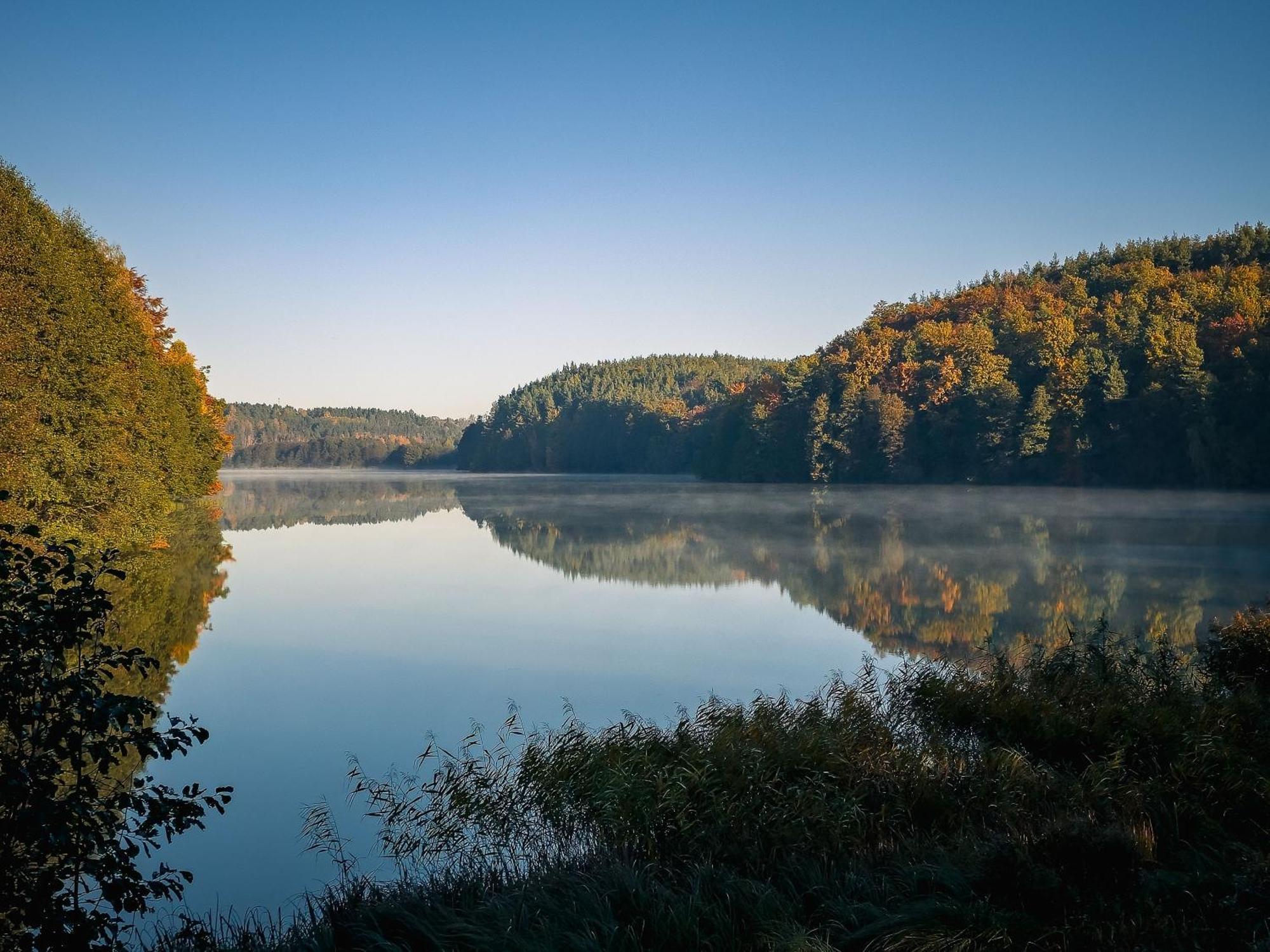 Dom Pod Klonem Na Kaszubach Villa Kościerzyna Exterior foto