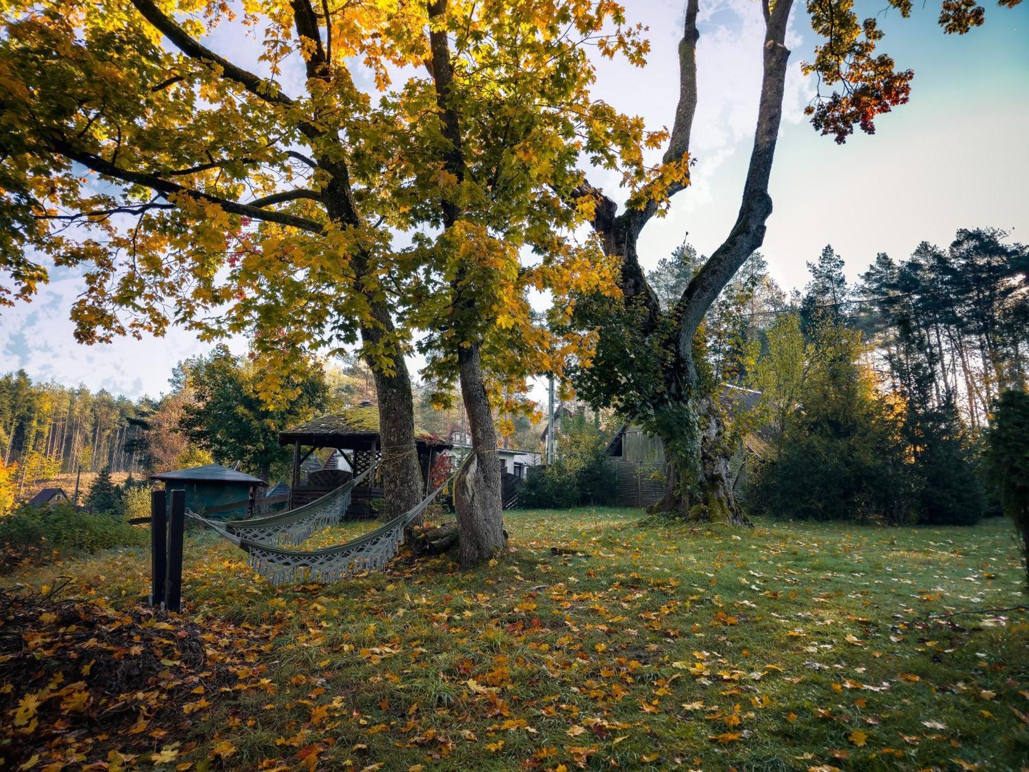 Dom Pod Klonem Na Kaszubach Villa Kościerzyna Exterior foto