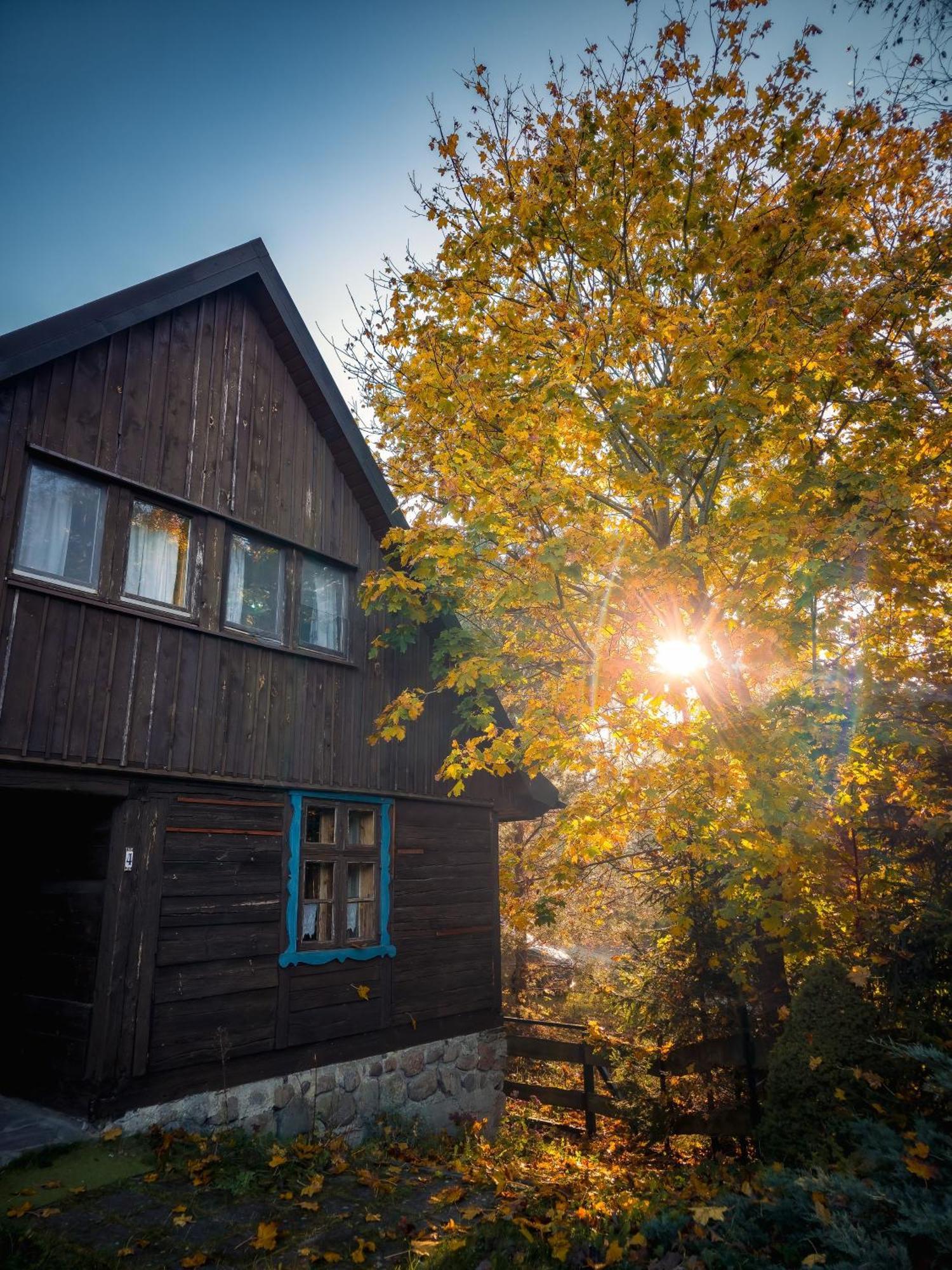 Dom Pod Klonem Na Kaszubach Villa Kościerzyna Exterior foto