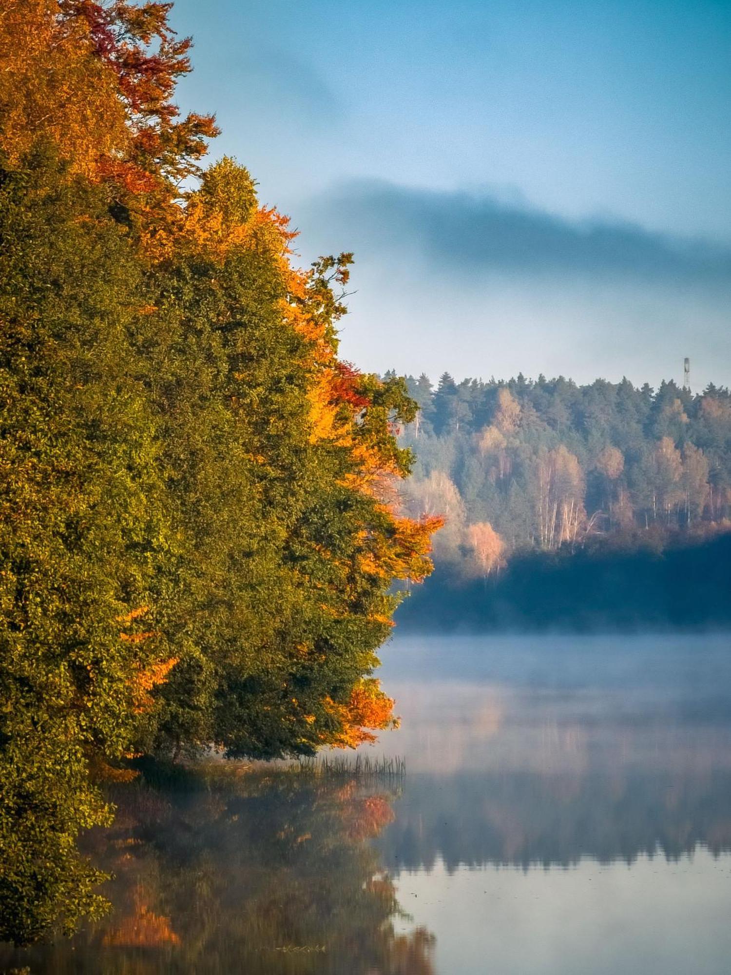 Dom Pod Klonem Na Kaszubach Villa Kościerzyna Exterior foto