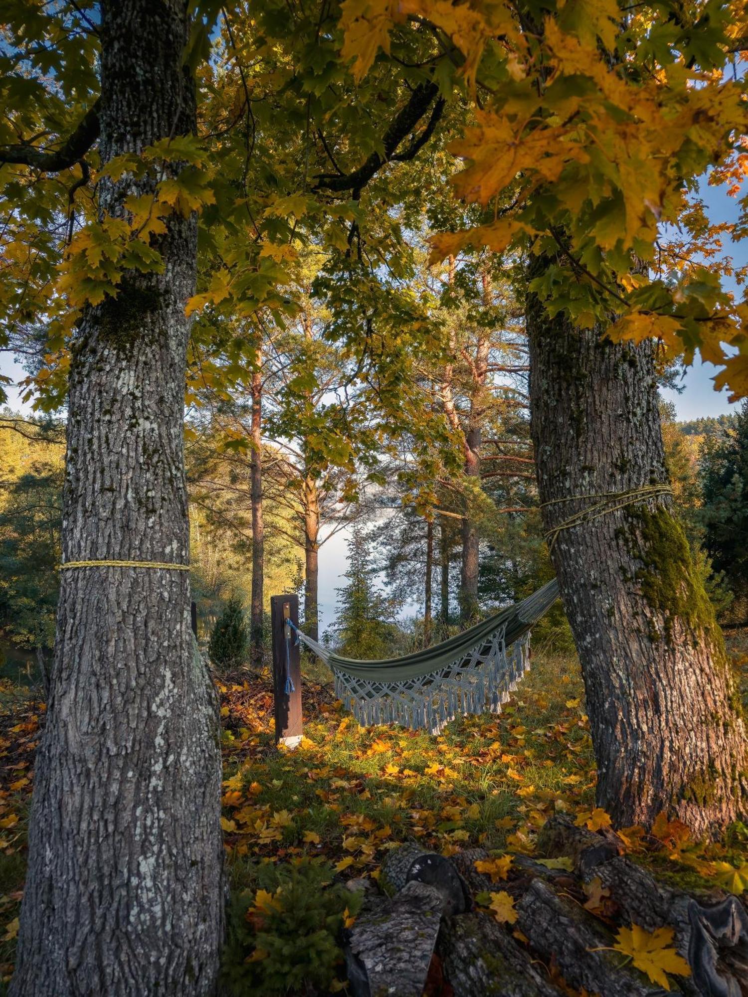 Dom Pod Klonem Na Kaszubach Villa Kościerzyna Exterior foto