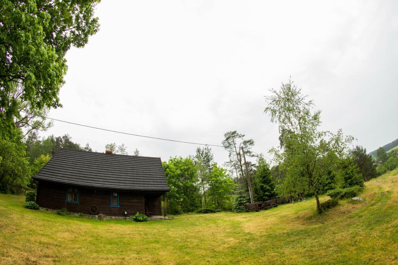 Dom Pod Klonem Na Kaszubach Villa Kościerzyna Exterior foto