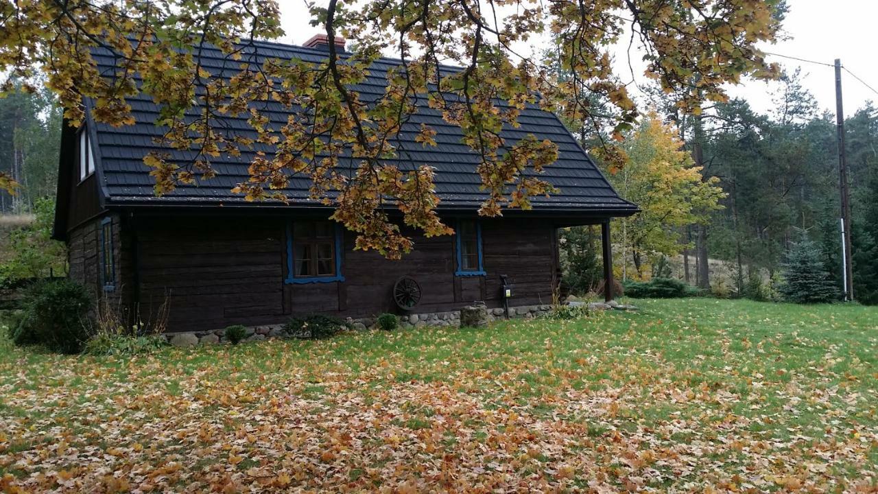 Dom Pod Klonem Na Kaszubach Villa Kościerzyna Exterior foto