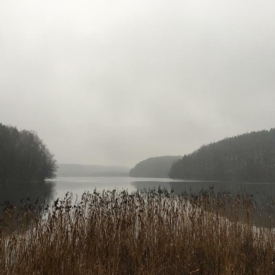 Dom Pod Klonem Na Kaszubach Villa Kościerzyna Exterior foto